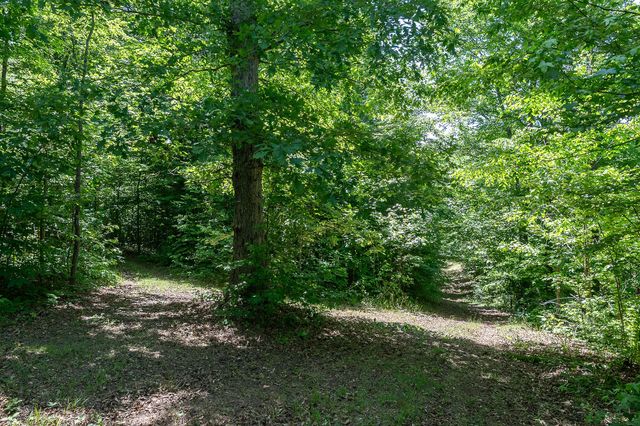 29 Acres Standing Stone Hwy, Hilham, TN 38568