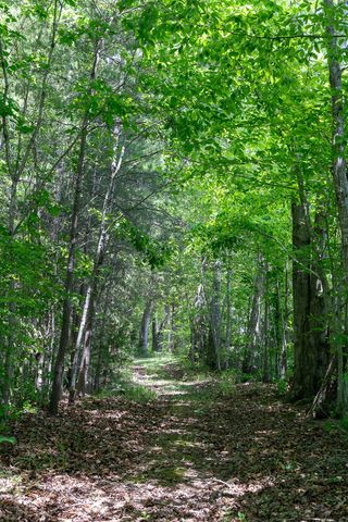 29 Acres Standing Stone Hwy, Hilham, TN 38568