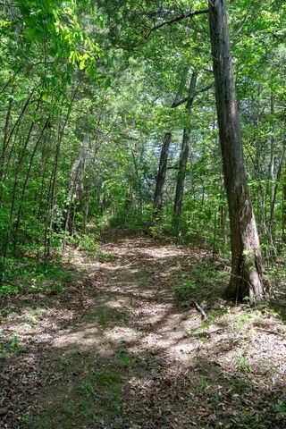 29 Acres Standing Stone Hwy, Hilham, TN 38568