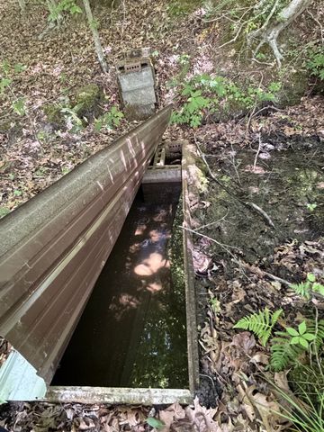 29 Acres Standing Stone Hwy, Hilham, TN 38568