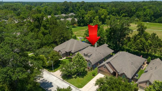 19818 Driver Forest Drive, Porter, TX 77365