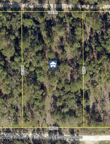 11465 Thames Avenue, Weeki Wachee, FL 34614