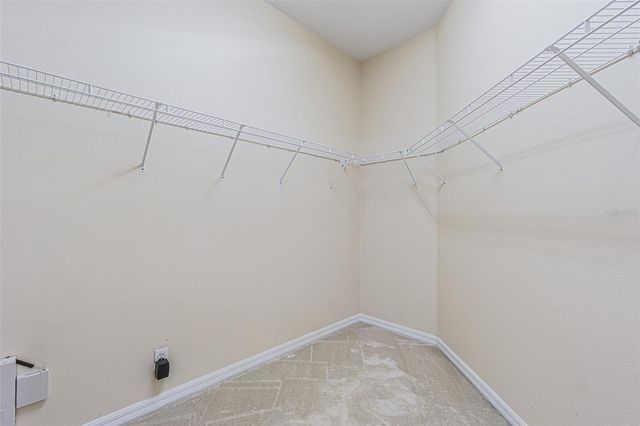 3356 ZACK DRIVE, Dunedin, FL 34698
