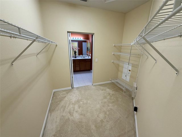 3356 ZACK DRIVE, Dunedin, FL 34698