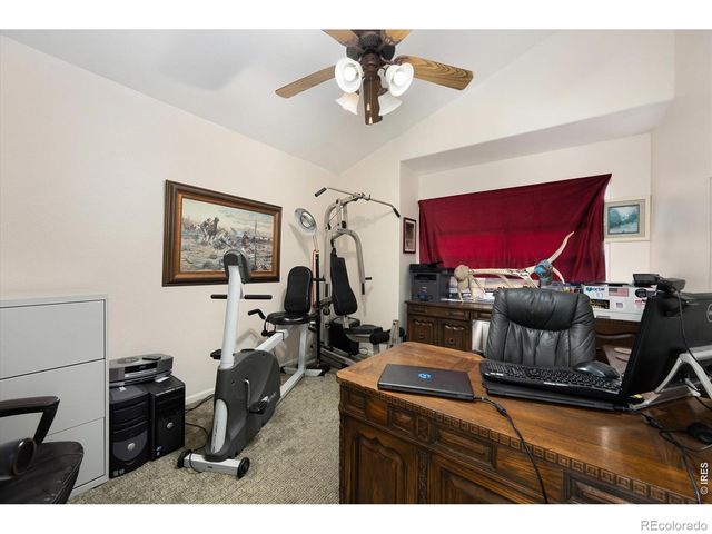 233 Habitat Circle, Windsor, CO 80550