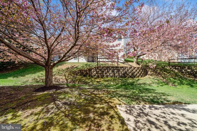 908 ROLLER COASTER CT, Mount Airy, MD 21771