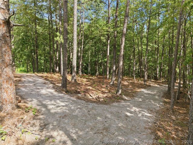 163 Michter Street, Vass, NC 28394