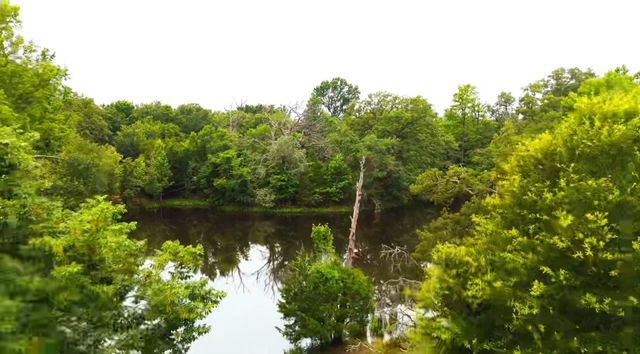 TBD VZ CR 4912, Van, TX 75790