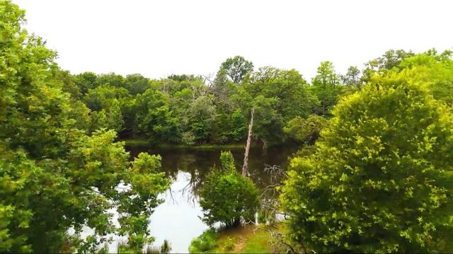 TBD VZ CR 4912, Van, TX 75790