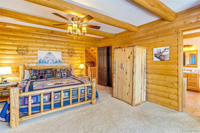 528 Mohawk Heights, Florissant, CO 80816