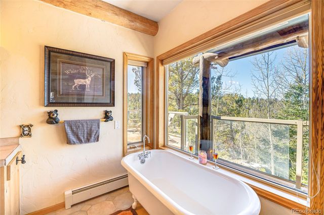 528 Mohawk Heights, Florissant, CO 80816