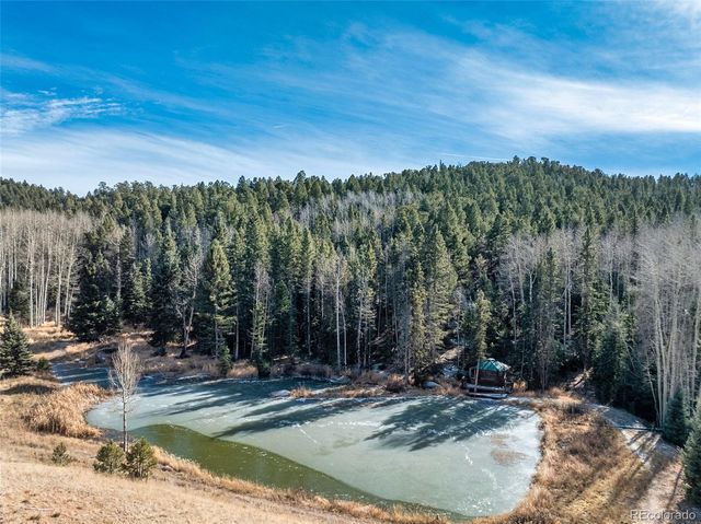 528 Mohawk Heights, Florissant, CO 80816