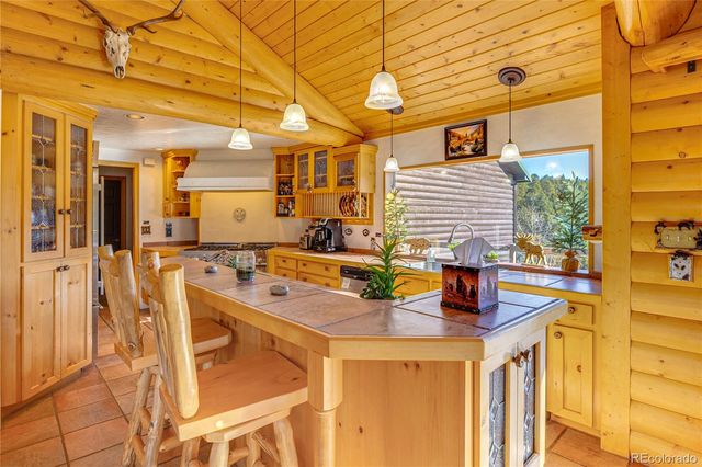 528 Mohawk Heights, Florissant, CO 80816