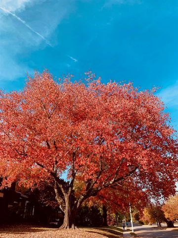 761 UNIVERSITY ST, Memphis, TN 38107