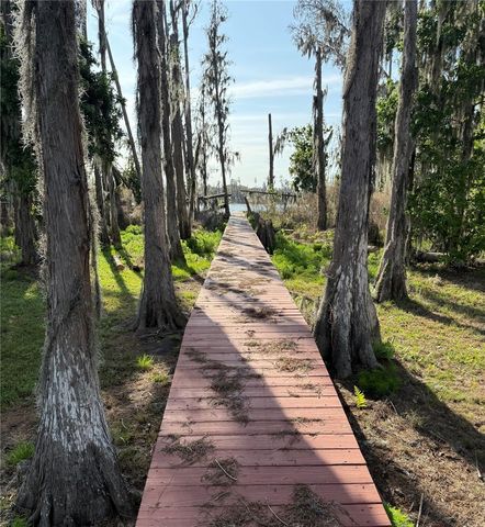 17011 ALDERMAN TURNER ROAD, Wimauma, FL 33598