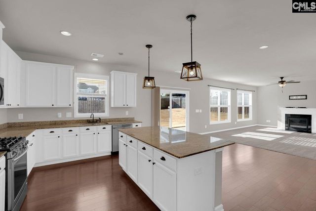 213 Golden Fluke Drive, Lexington, SC 29072