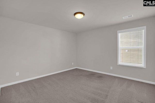 213 Golden Fluke Drive, Lexington, SC 29072