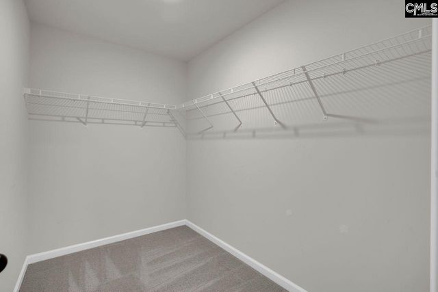 213 Golden Fluke Drive, Lexington, SC 29072