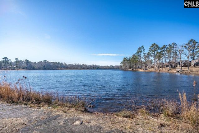 213 Golden Fluke Drive, Lexington, SC 29072