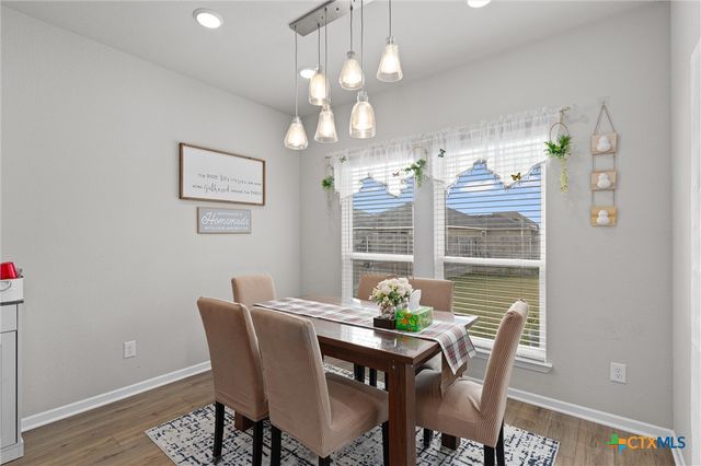 1913 Zabcikville Drive, Temple, TX 76502