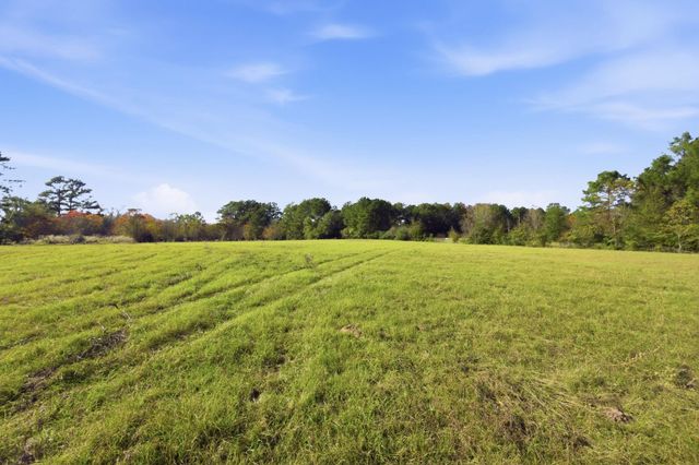 TBD County Rd 204, Plantersville, TX 77363