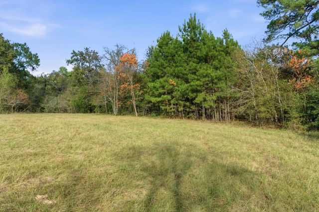 TBD County Rd 204, Plantersville, TX 77363