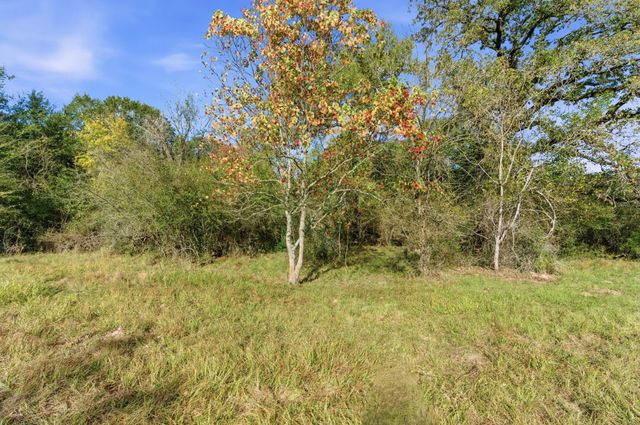 TBD County Rd 204, Plantersville, TX 77363