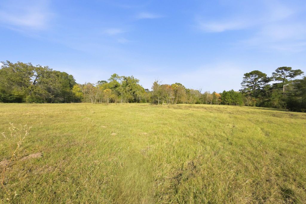 TBD County Rd 204, Plantersville, TX 77363