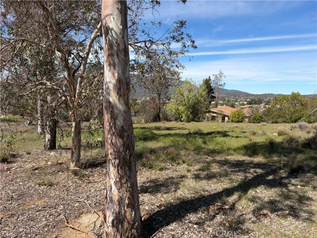 39175 Boulder Drive, Anza, CA 92539
