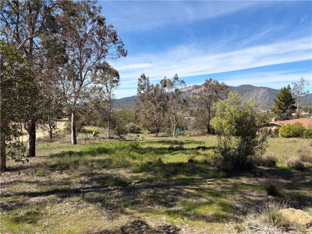 39175 Boulder Drive, Anza, CA 92539