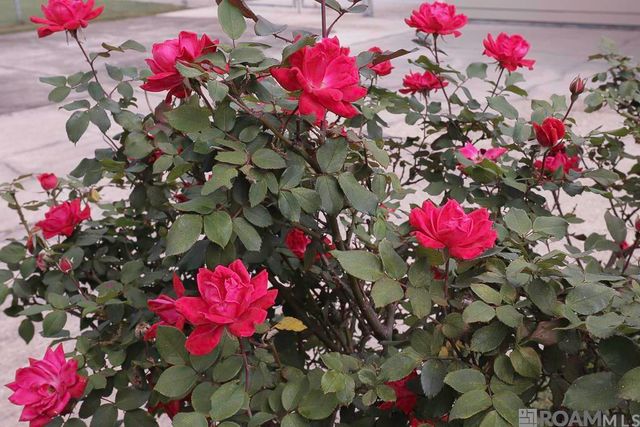 2166 Silverest Ave, Baton Rouge, LA 70816