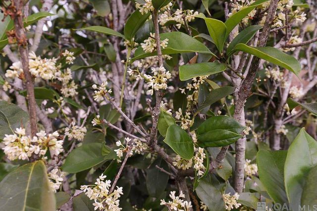 2166 Silverest Ave, Baton Rouge, LA 70816