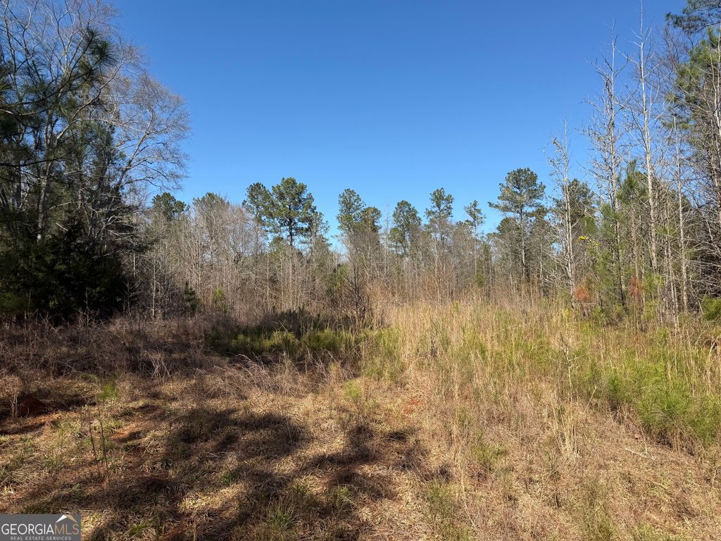 0 John Rucker Road, Elberton, GA 30635 — photo 3