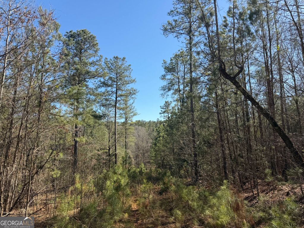 0 John Rucker Road, Elberton, GA 30635 — photo 4