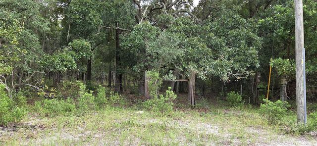 10400 E MOCCASIN SLOUGH ROAD, Inverness, FL 34450