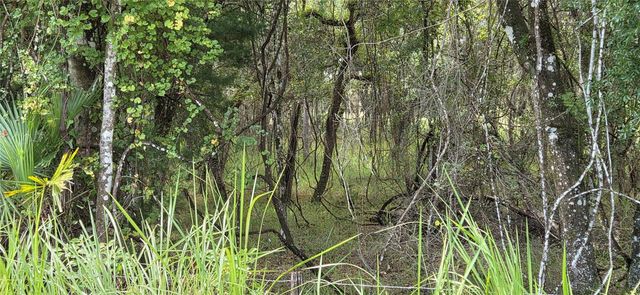 10400 E MOCCASIN SLOUGH ROAD, Inverness, FL 34450