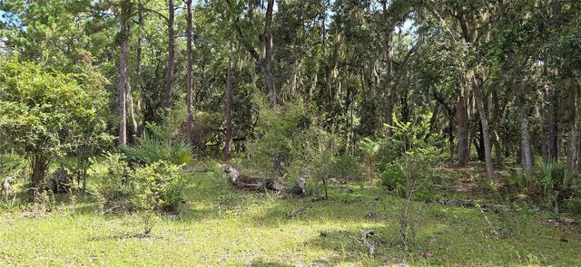 10400 E MOCCASIN SLOUGH ROAD, Inverness, FL 34450