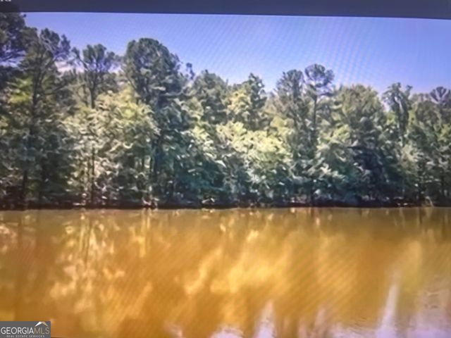 2101 Poplar Falls Road, Lithonia, GA 30058