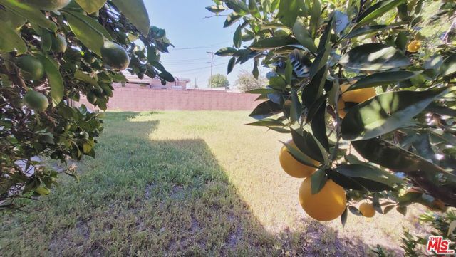 13063 Louvre Street, Pacoima (los Angeles), CA 91331