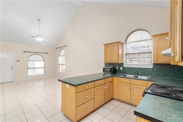 3810 W Sarah Evans Street, Edinburg, TX 78541