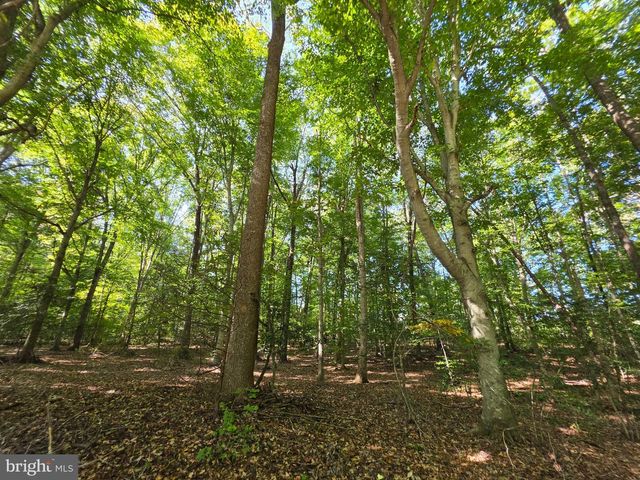 3 ACRES BELSCHES RD, Bumpass, VA 23024