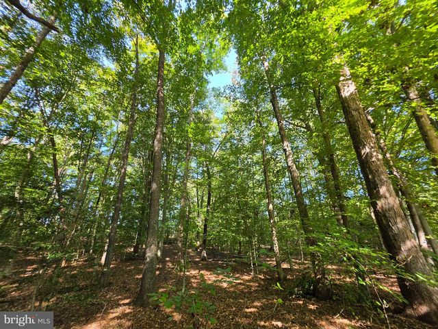 3 ACRES BELSCHES RD, Bumpass, VA 23024