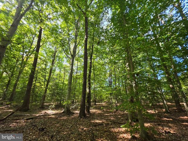3 ACRES BELSCHES RD, Bumpass, VA 23024