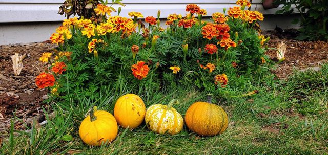 26504 Lakeview Drive, Mora, MN 55051