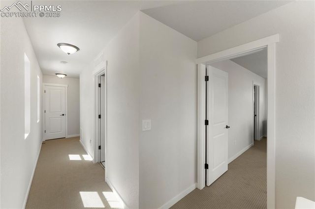 5894 Spring Breeze Drive, Colorado Springs, CO 80923