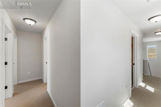 5894 Spring Breeze Drive, Colorado Springs, CO 80923