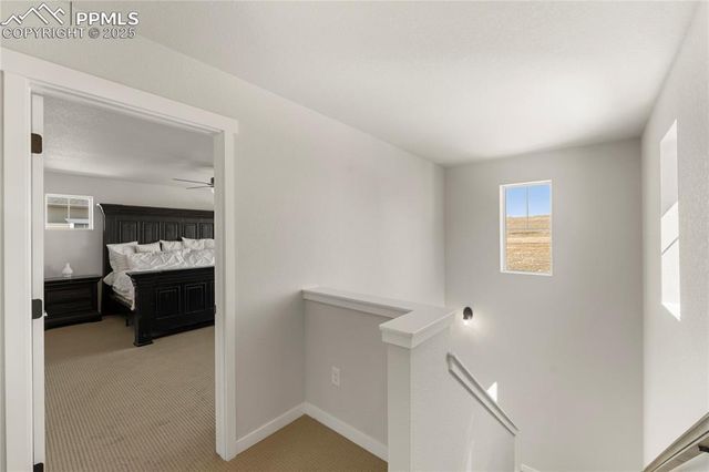 5894 Spring Breeze Drive, Colorado Springs, CO 80923