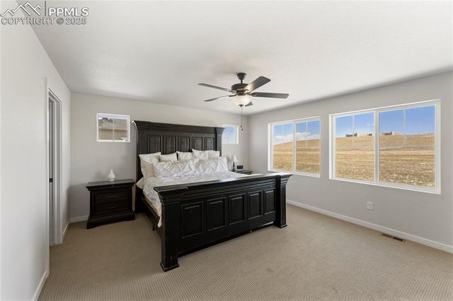 5894 Spring Breeze Drive, Colorado Springs, CO 80923