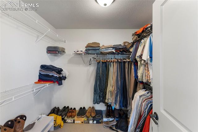 5894 Spring Breeze Drive, Colorado Springs, CO 80923