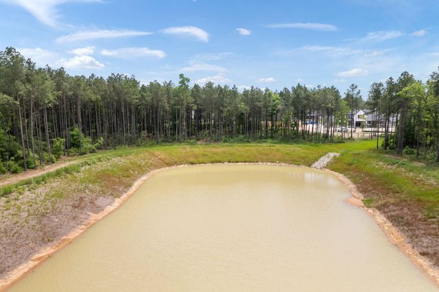 7488 High Meadow Ridge Dr, Montgomery, TX 77316